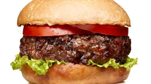 Beef Grill Burger 